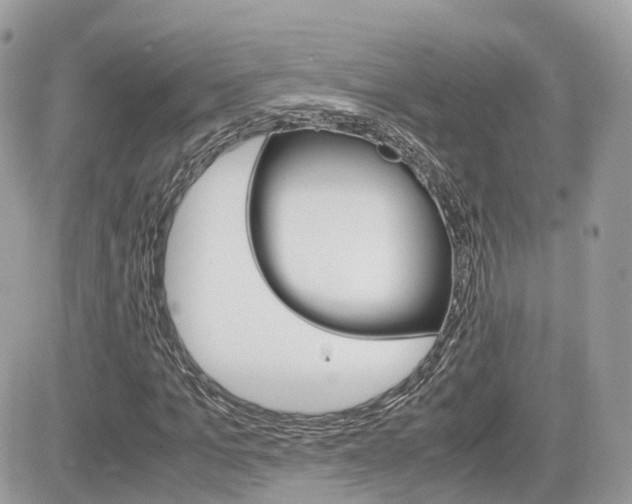 X0000082200965200701191046