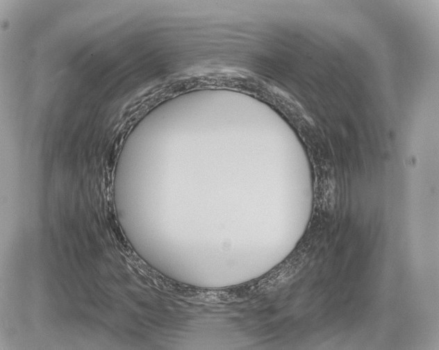 X0000082200966200701191046