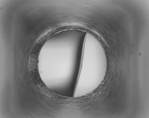 X0000082200967200701191046