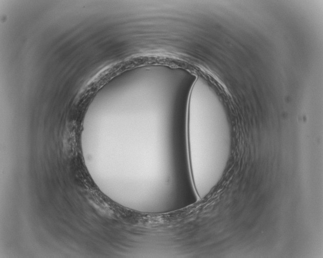 X0000082200968200701191046