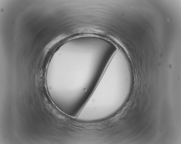 X0000082200971200701191046
