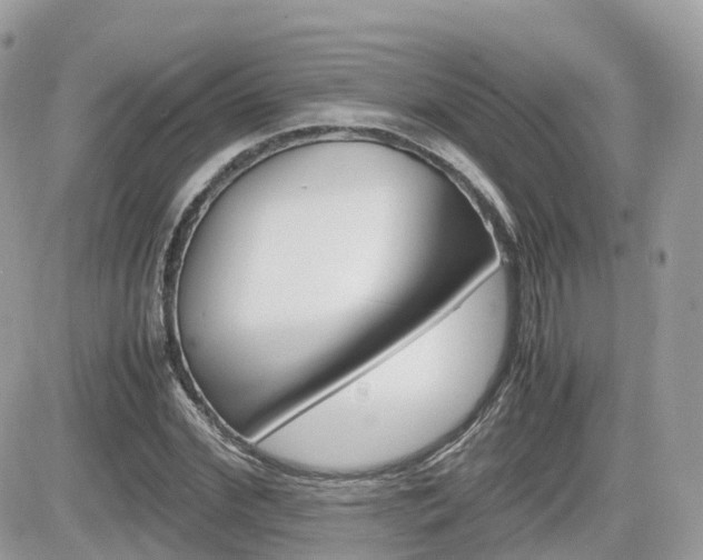 X0000082200972200701191046