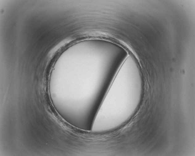X0000082200979200701191046