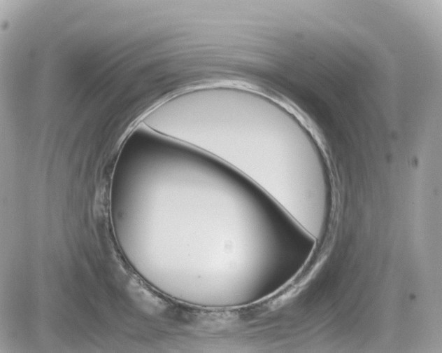 X0000082201001200701191045