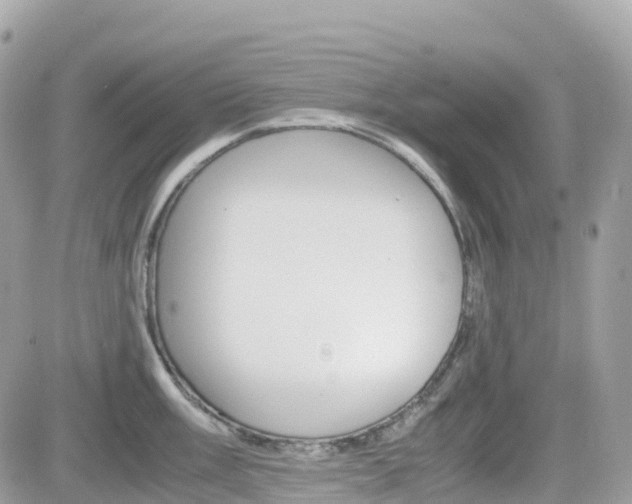 X0000082201003200701191045