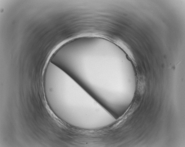 X0000082201004200701191045
