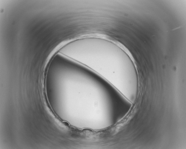 X0000082201005200701191045