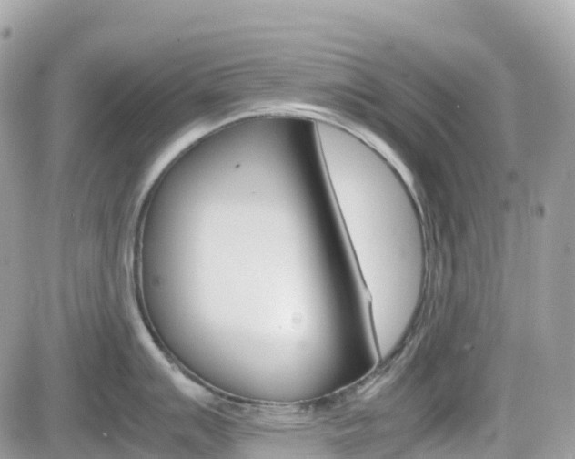 X0000082201007200701191045