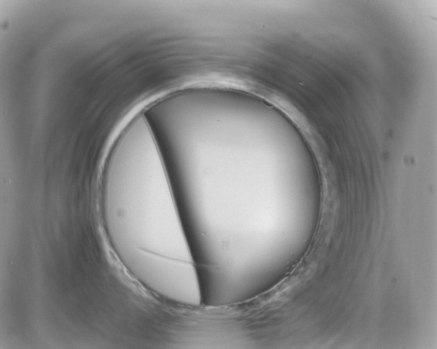 X0000082201008200701191045