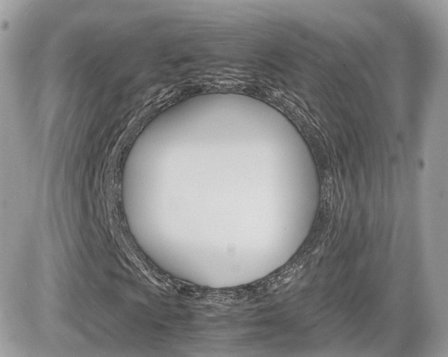 X0000082201009200701191044