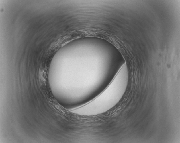 X0000082201010200701191044