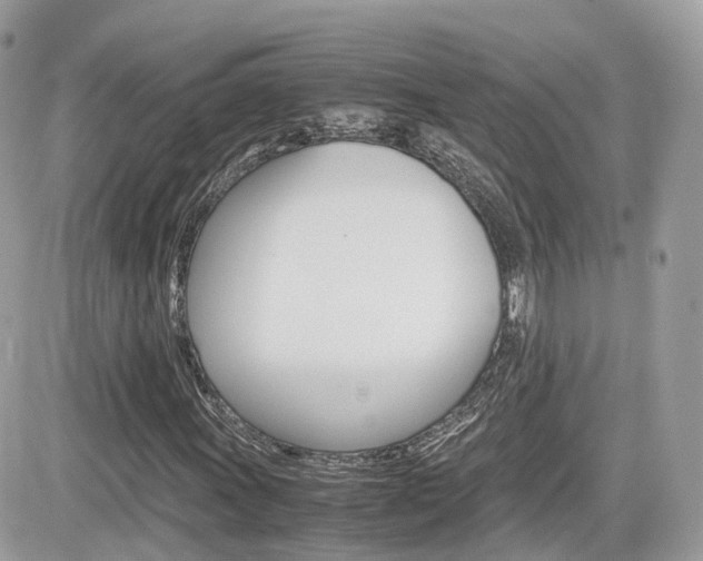 X0000082201011200701191044