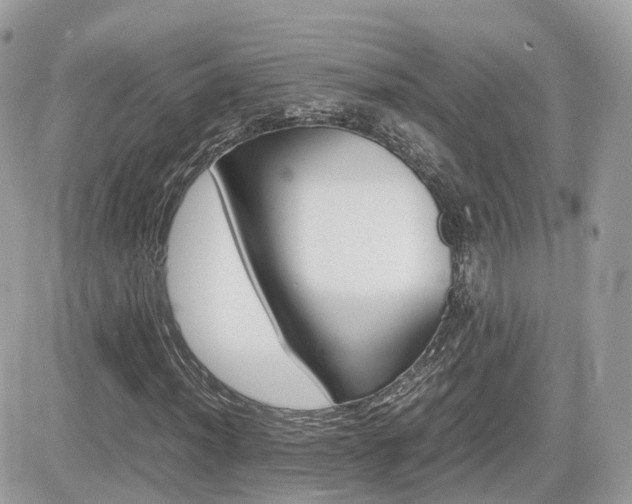 X0000082201012200701191045