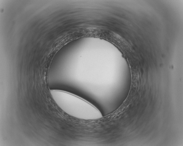 X0000082201013200701191045