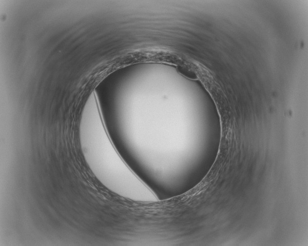 X0000082201014200701191045