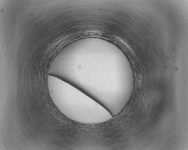 X0000082201015200701191045