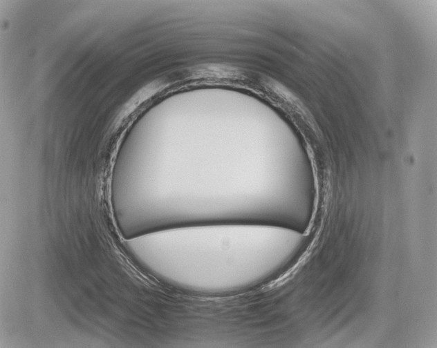 X0000082201017200701191045