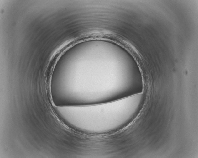 X0000082201018200701191045
