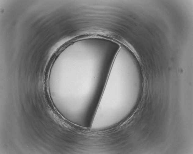 X0000082201020200701191045