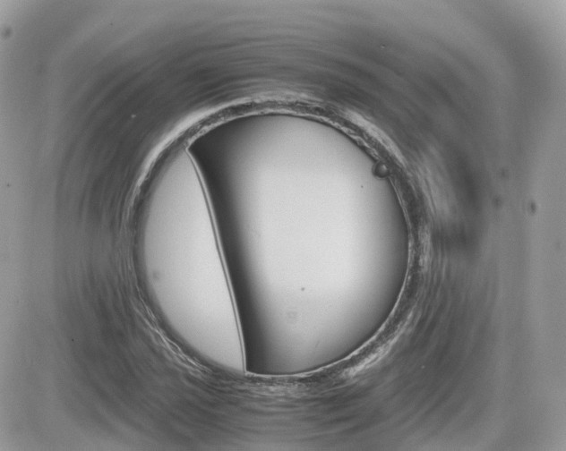 X0000082201021200701191045