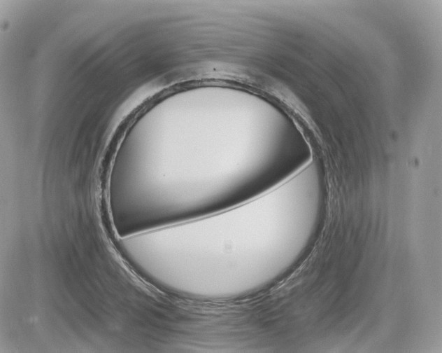 X0000082201024200701191045