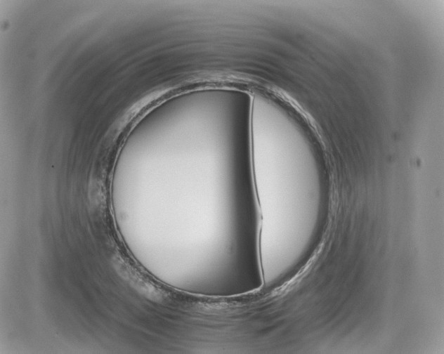 X0000082201025200701191045
