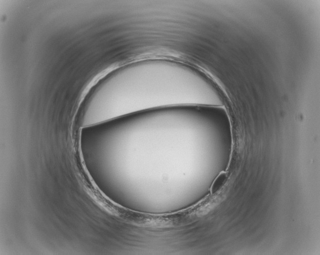 X0000082201026200701191045