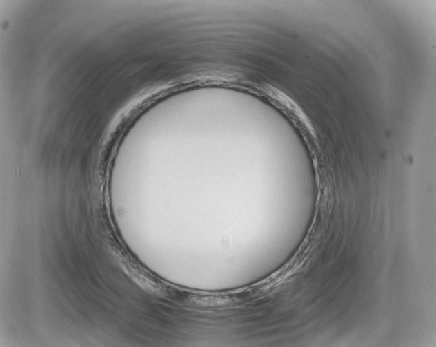 X0000082201027200701191045