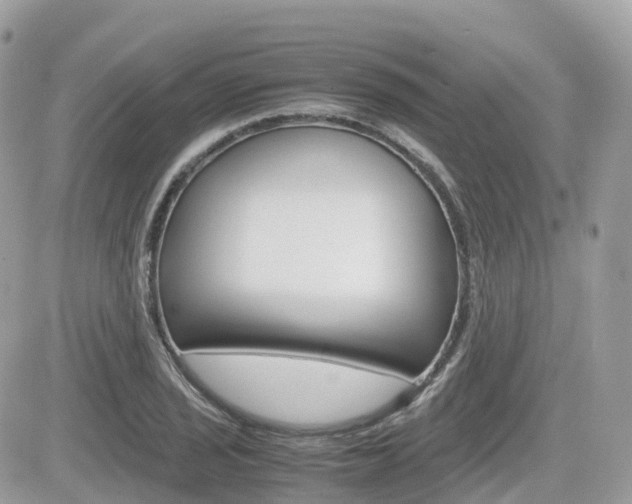 X0000082201029200701191045