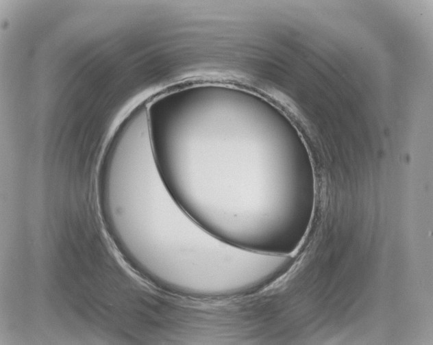 X0000082201030200701191045