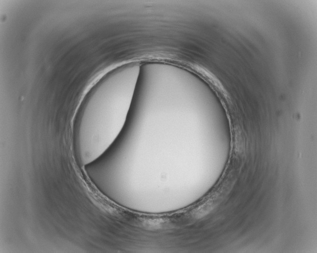 X0000082201031200701191045