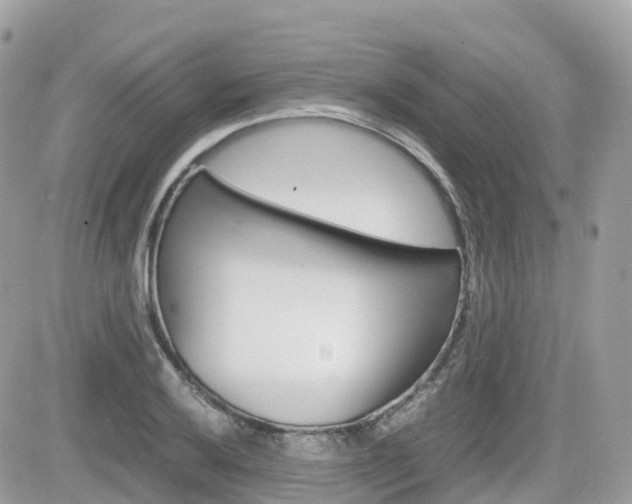X0000082201032200701191045