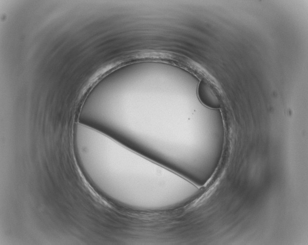 X0000082201033200701191045