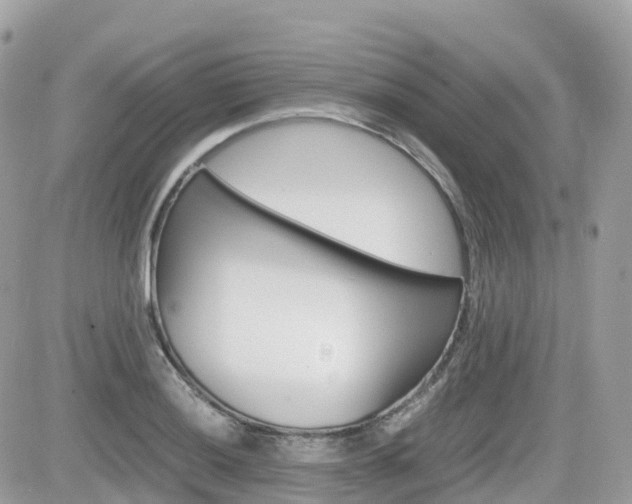 X0000082201036200701191045