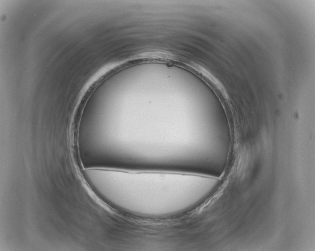 X0000082201037200701191045