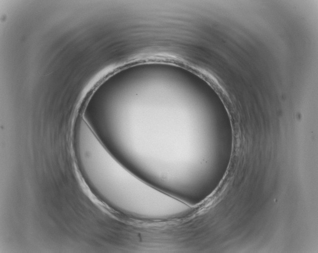 X0000082201038200701191045