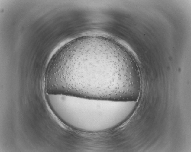 X0000082201040200701191045