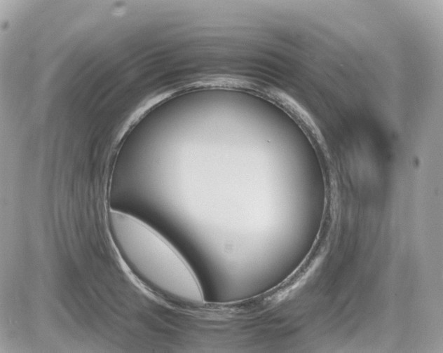 X0000082201041200701191045