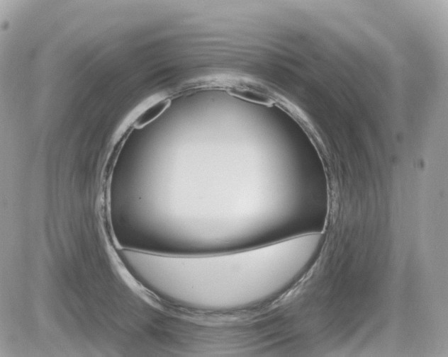 X0000082201042200701191045