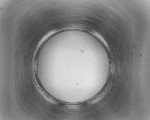 X0000082201043200701191045