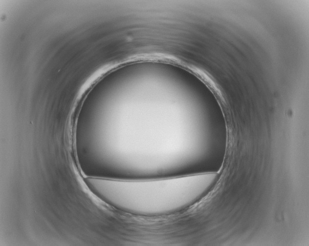 X0000082201046200701191045