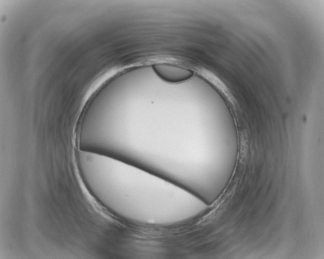 X0000082201047200701191045
