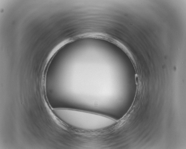 X0000082201050200701191045