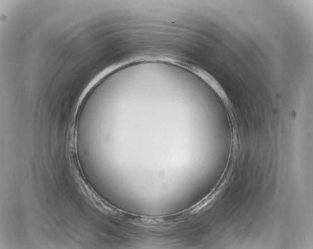 X0000082201052200701191045