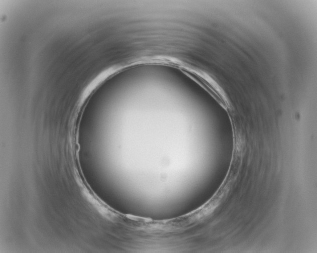 X0000082201054200701191045