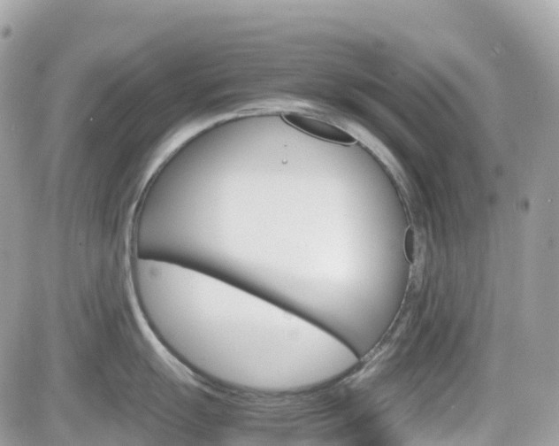 X0000082201055200701191045