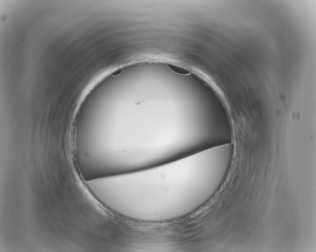 X0000082201056200701191045