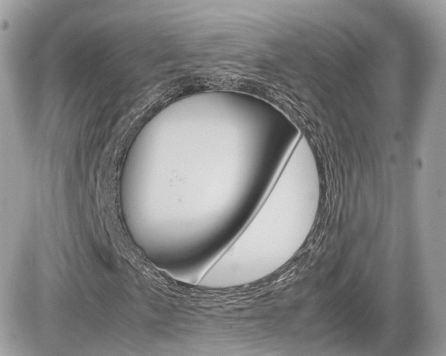 X0000082201057200701191044
