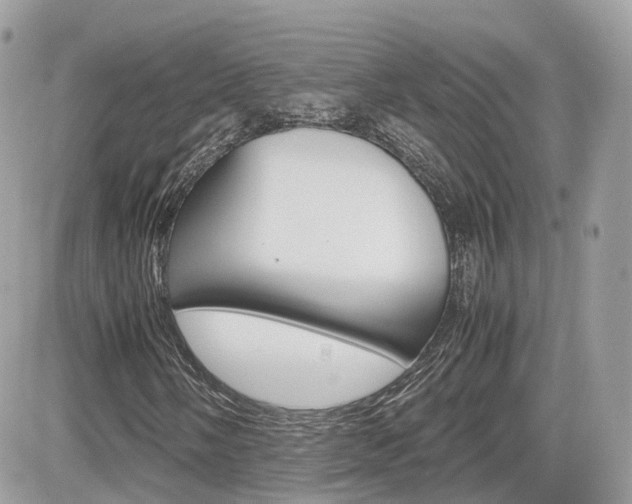 X0000082201058200701191044