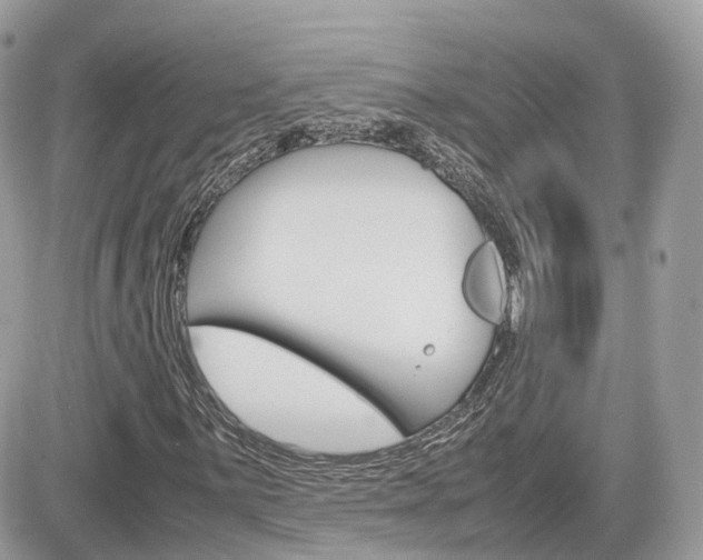 X0000082201059200701191044